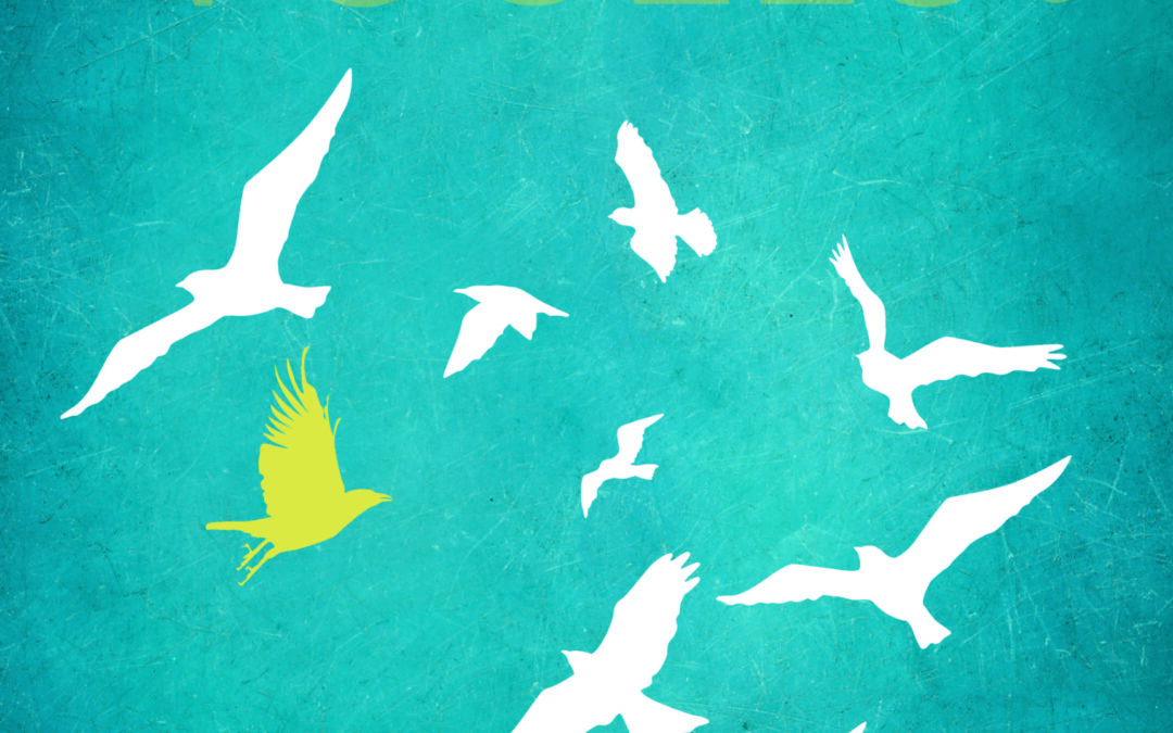 Vertelvoorstelling ‘Vreemde Vogels’ – Over Vluchtelingen –