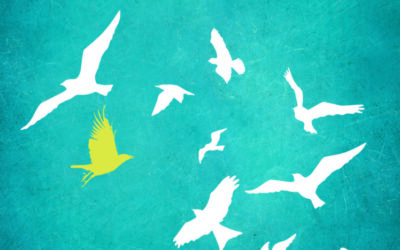 Vertelvoorstelling ‘Vreemde Vogels’ – Over Vluchtelingen –