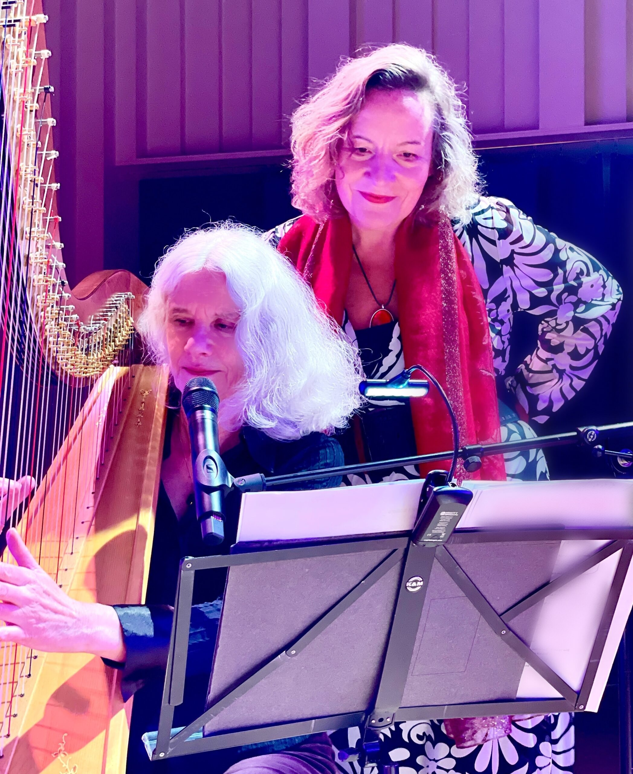 Jopie en Pauline verhalen en muziek